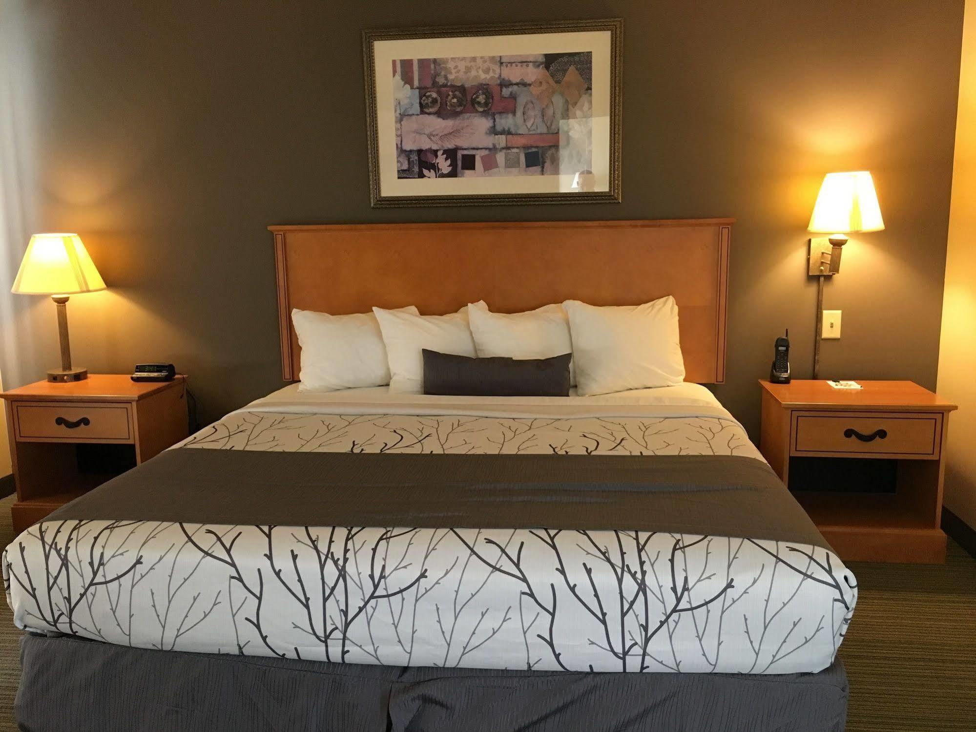 Wingate By Wyndham Coon Rapids Hotel Bagian luar foto