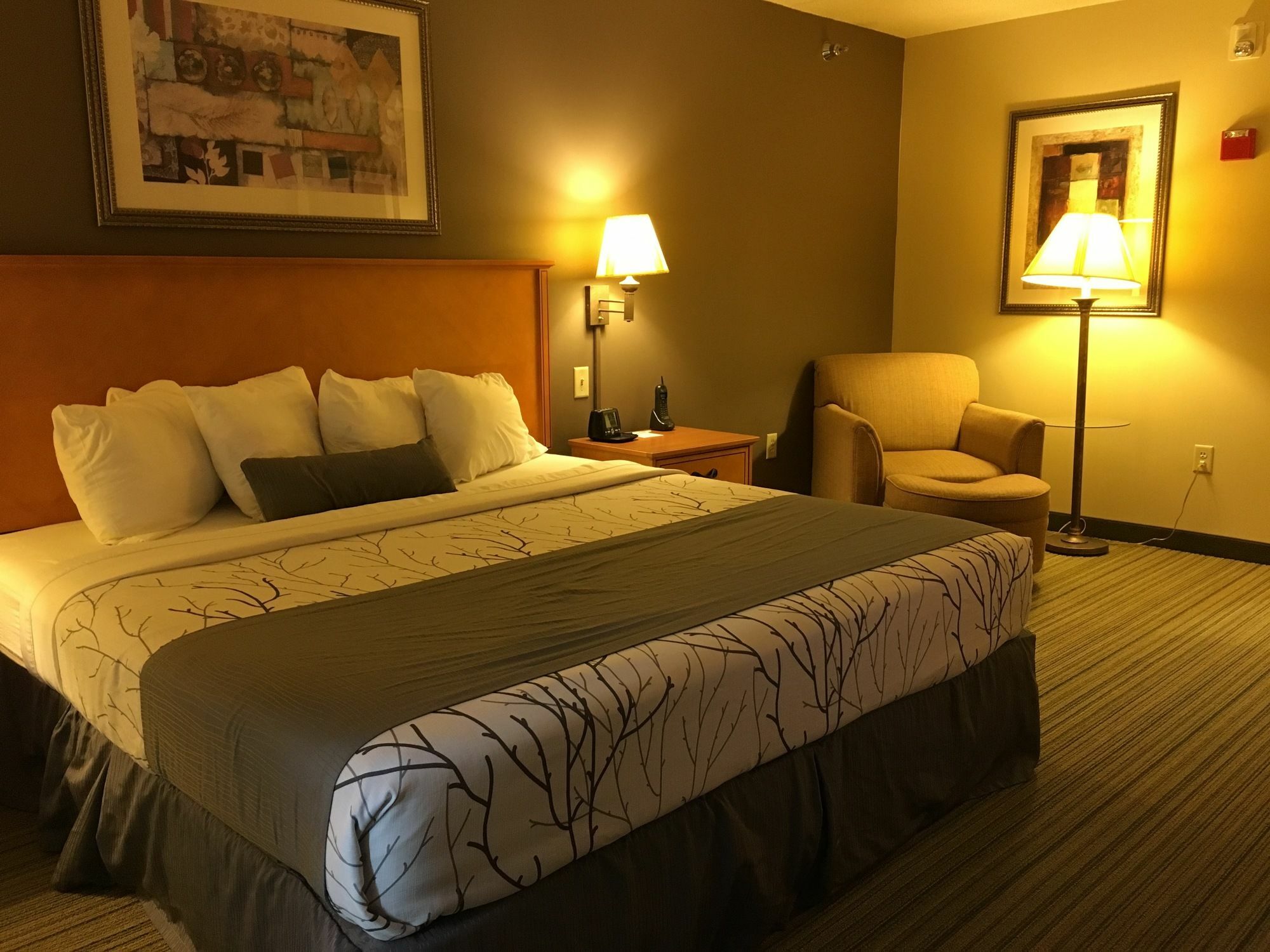 Wingate By Wyndham Coon Rapids Hotel Bagian luar foto